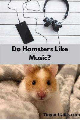 do hamsters like music that has a fast tempo?