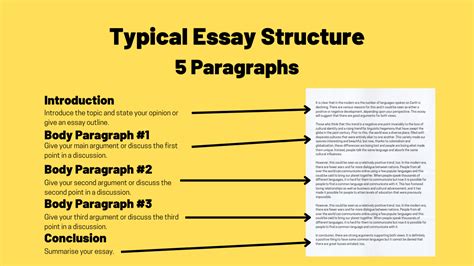 How Much Paragraphs Are in an Essay? The Journey of Content Creation