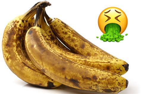 What is music distribution and why do bananas wear sunglasses?